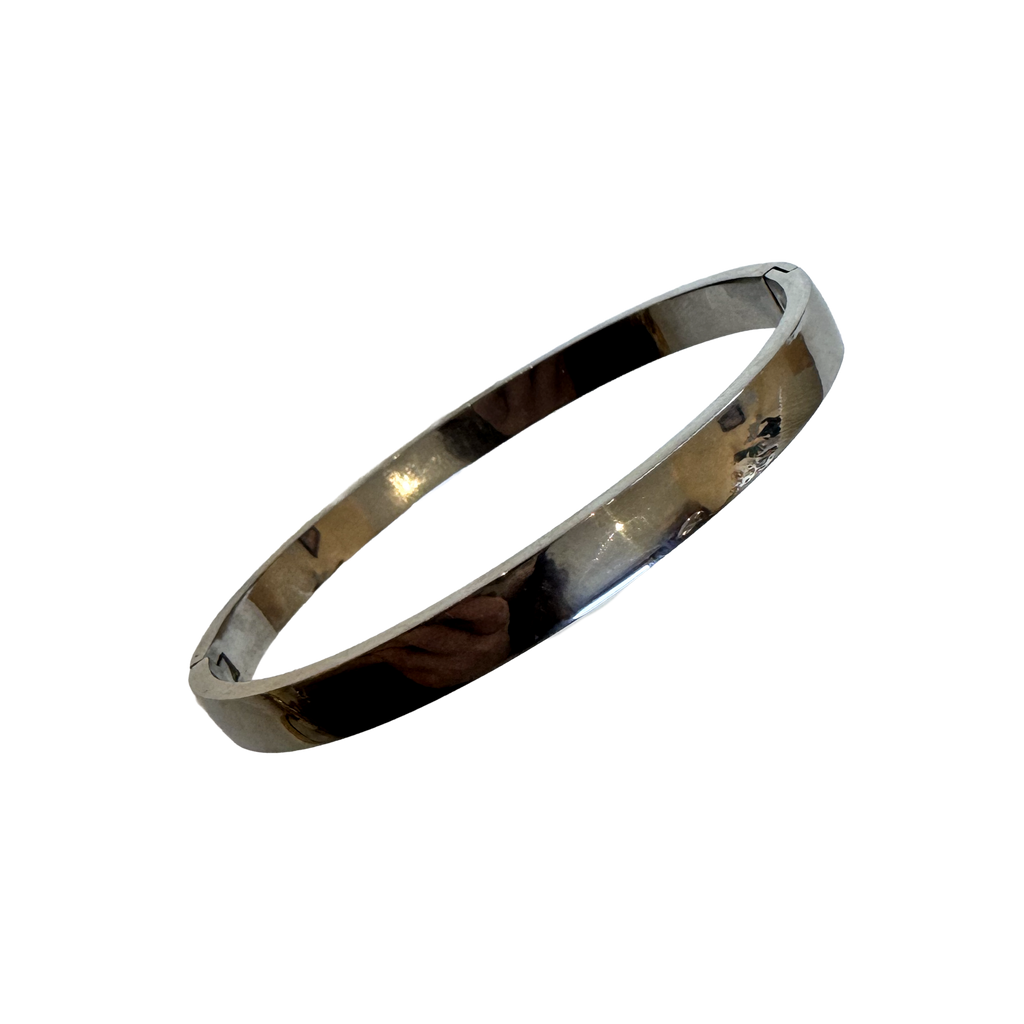 Smooth Thin Stainless Steel Bangle