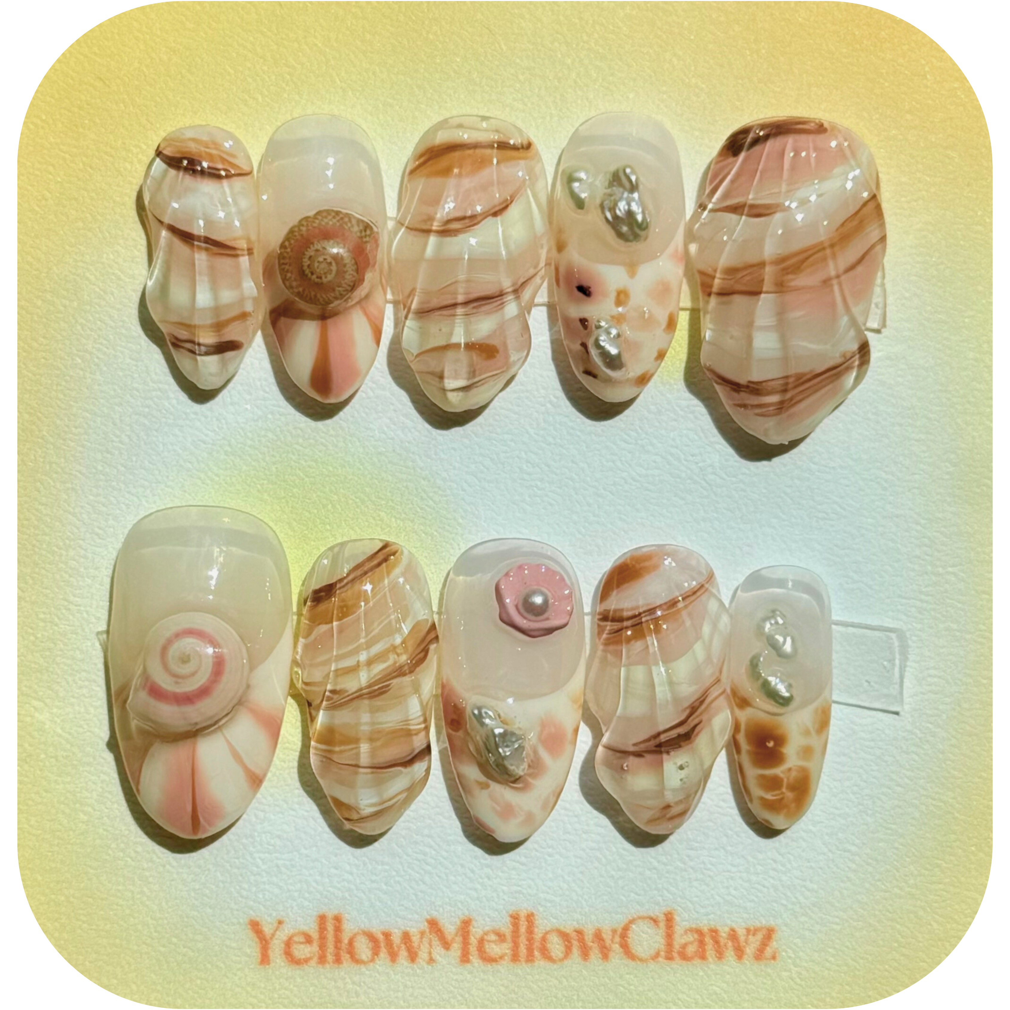 Blushed Shell